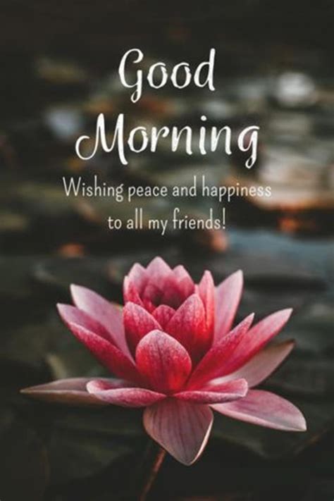 Friend good morning flowers with messages. 28 Good Morning Message For Friends - Morning Wishes ...