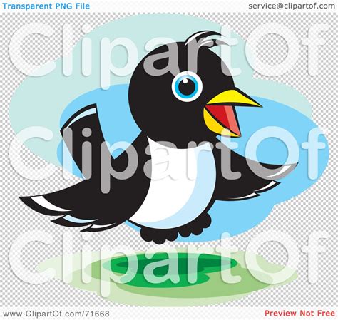 Royalty Free Rf Clipart Illustration Of A Magpie Bird Hovering By Lal