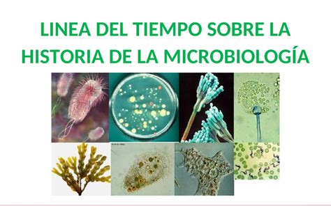 Historia De La Microbiologia Timeline Timetoast Timelines