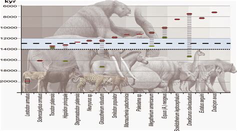 the dragon s tales a finer resolution timeline for the south american megafauna component of