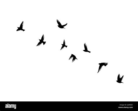 Flying Doves Vector