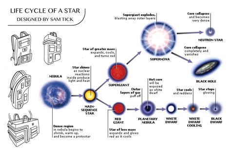 Life Cycle Of A Star On Behance