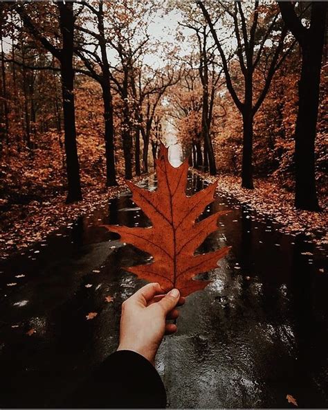 Autumn Is That You 🍁 Missyou Via Octoberalways Autumn Magic Autumn