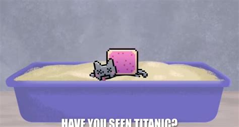 Nyan Cat Vs Grumpy Cat Videos Metatube