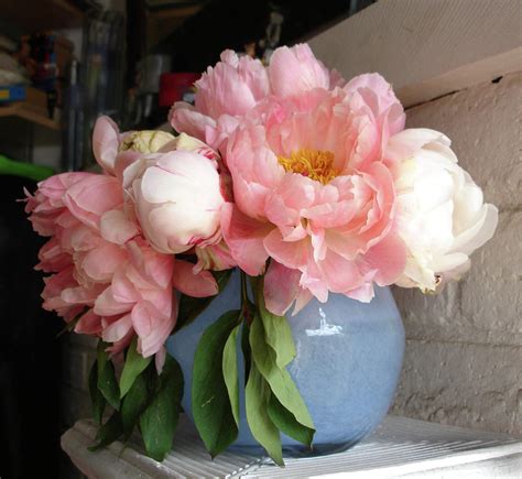 Pink Peonies In Blue Vase Pyrography By Grace Matthews Fine Art America