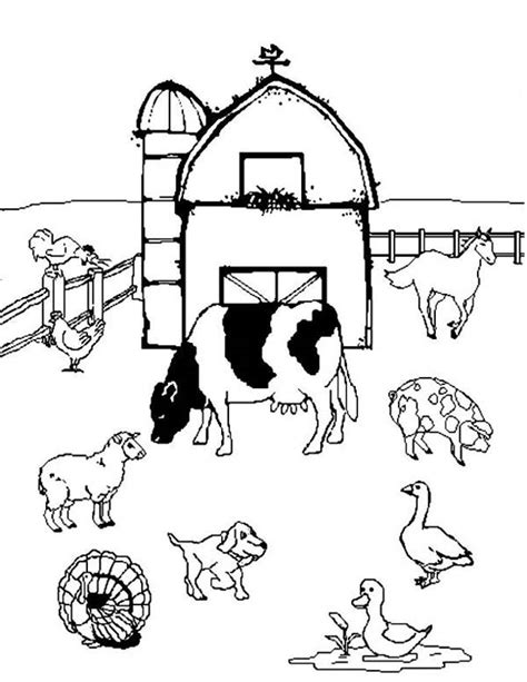 Farm Animal Gathers Coloring Page Coloring Sky