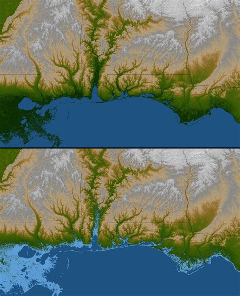 Gulf Coast Shaded Relief And Colored Height