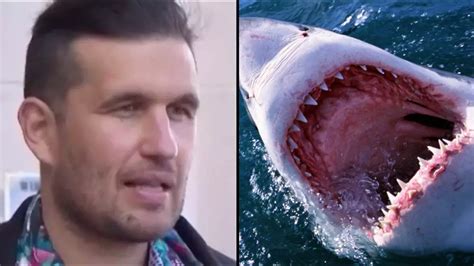 Luckiest Man In The World Escaped Great White Shark Attack With Just