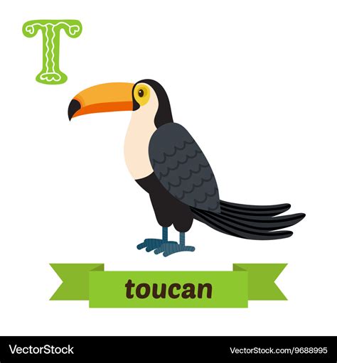 Toucan T Letter Cute Children Animal Alphabet Vector Image