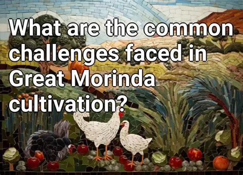 What Are The Common Challenges Faced In Great Morinda Cultivation
