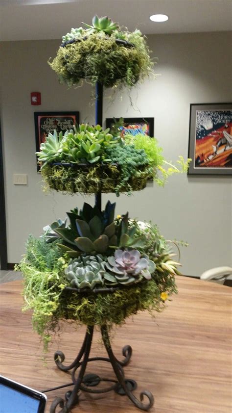 Display these faux plants on a reception counter or for retail settings. Tiered succulent arrangement | Succulent pots, Succulent ...