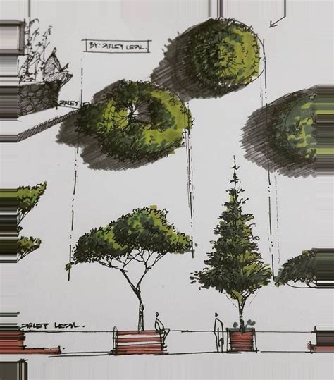 Drawings Of Sketches Architectural Trees Landscape Architecture