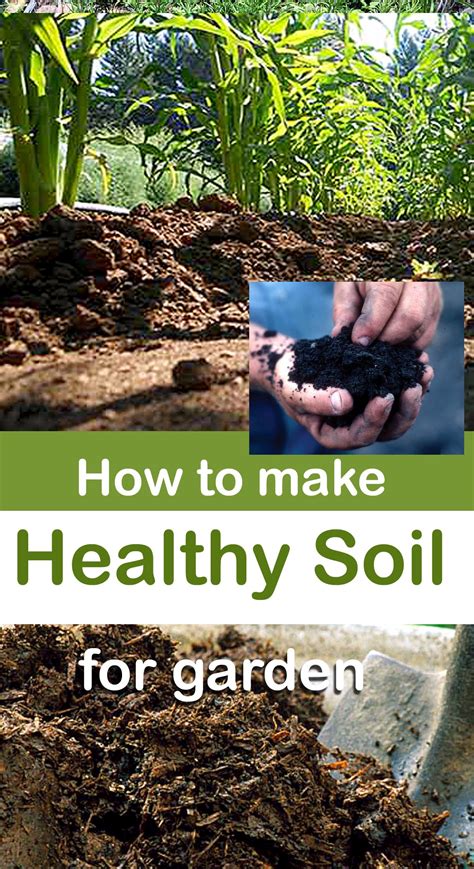 How To Improve Garden Soil Health Garden Soil Healthy Soil