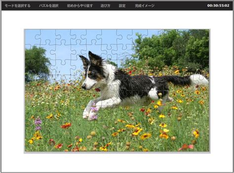 The daily dozen is similar to the bbc's day in pictures series. 63 best National Geographic Jigsaw puzzle images on ...