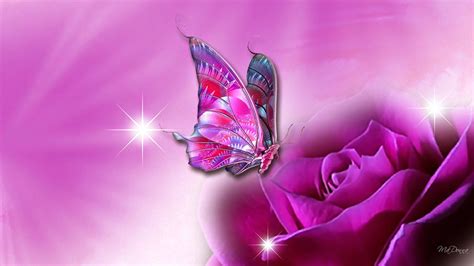 Pink Butterfly On Pink Rose Flower Hd Pink Butterfly Wallpapers Hd