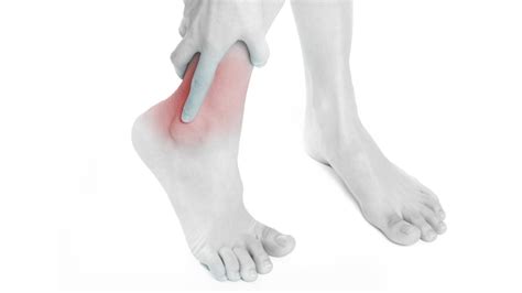 Caviglia - Mdm Fisioterapia