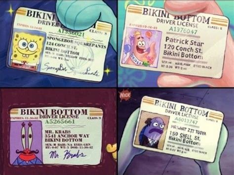 Spongebob Squarepants Licenses Spongebob Funny Spongebob