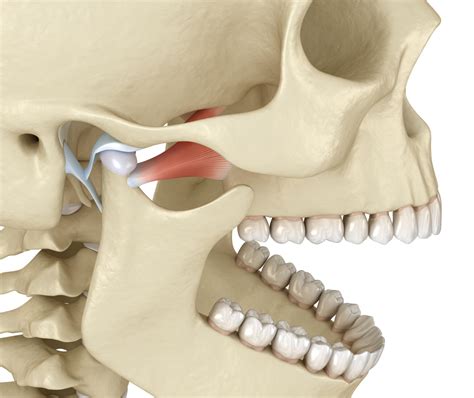 Dizziness And Vertigo The Tmj And Inner Ear Ban R Barbat Township