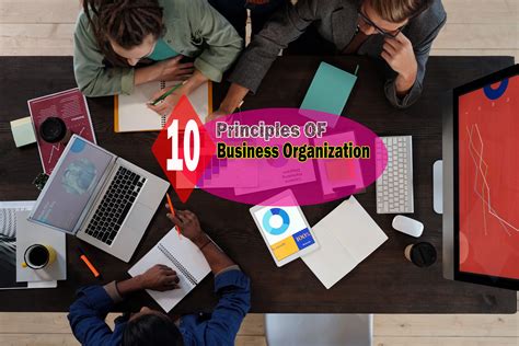 10 Principles Of Business Organization Faysals Education Counsel