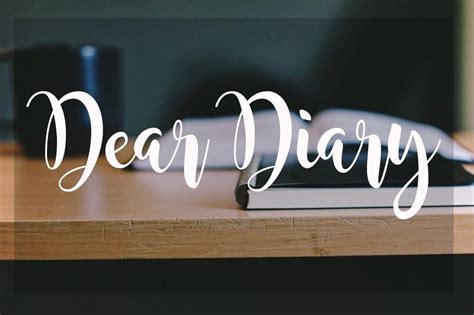 Dear Diary Adios Mariaisquixotic