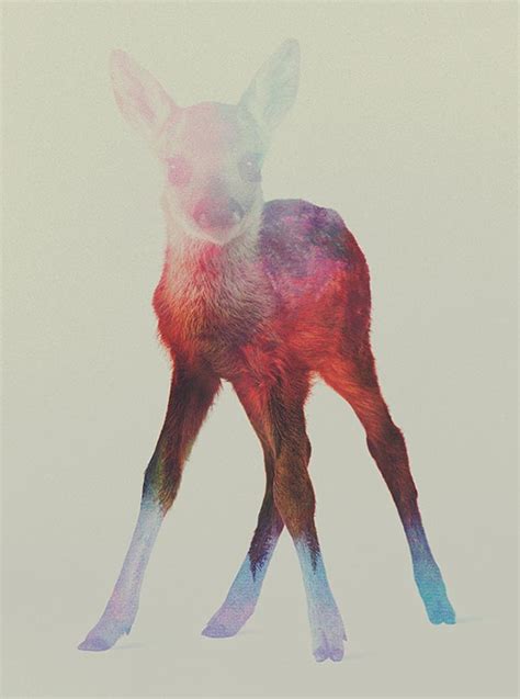 30 Best Double Exposure Photography Examples A New Trend