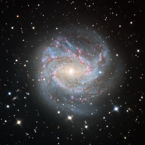 Messier 83 Southern Pinwheel Galaxy Telescope Live