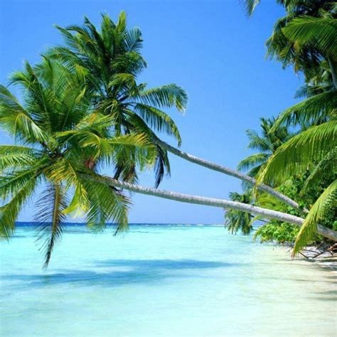 10 Best Tropical Beaches Desktop Wallpaper Full Hd 1920×
