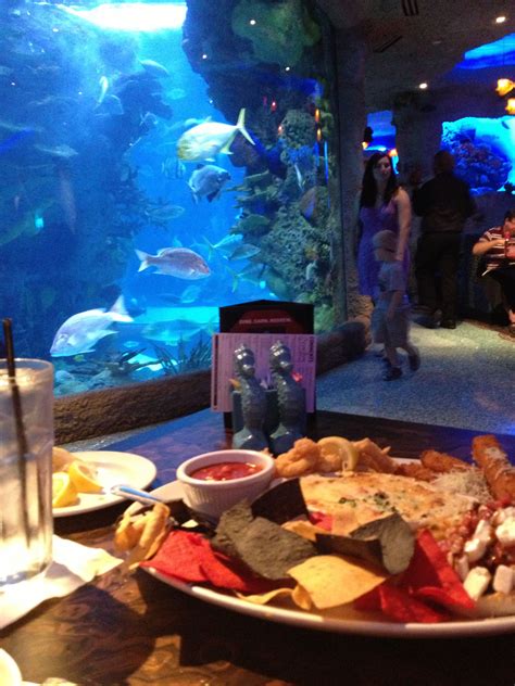 Underwater Aquarium Restaurant Nashville Tn Visit Tennessee