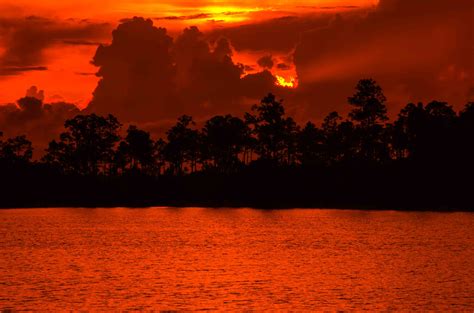Sunset In The Everglades Shutterbug