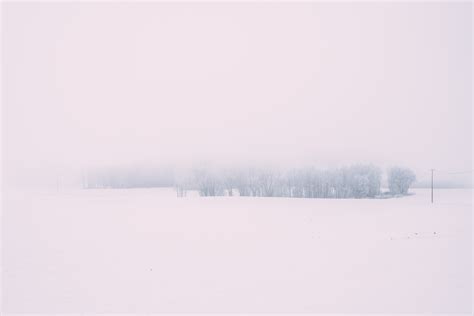 Free Images Snow Atmospheric Phenomenon White Fog Sky Freezing