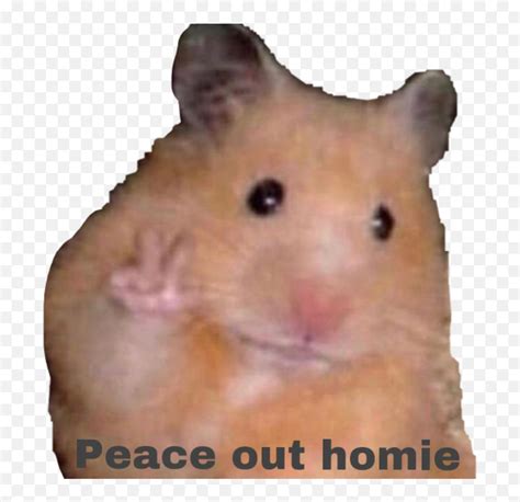 Peace Hamster Cute Homie Gerble Freetoedit Hamster Peace Sign Emoji