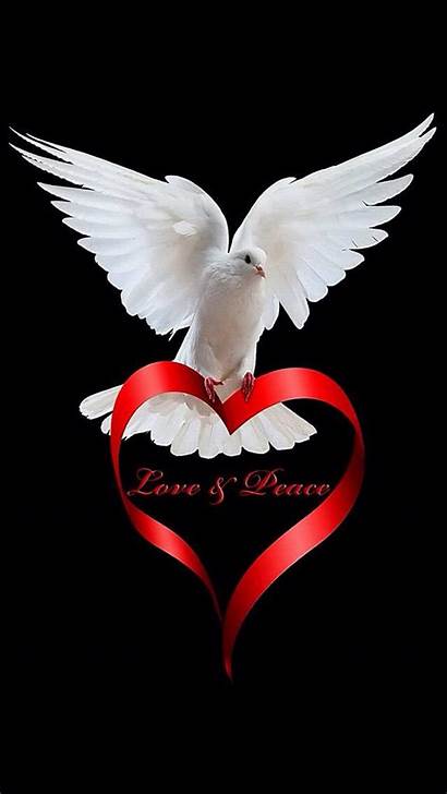 Peace Heart Dove Doves Holy Spirit Jesus