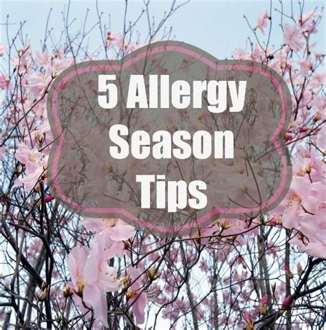 5 allergie saison tipps allergie saison tipps allergies how to stay healthy seasons
