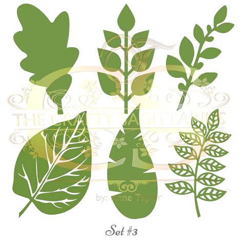 Set 3 Svg Png Dxf 6 Different Leaves For Paper Flowers Etsy Paper