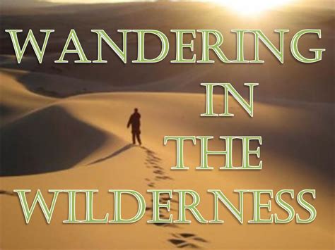 Day 272 Wandering In The Wilderness By Faith 1 Wisdom Trek