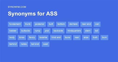 Another Word For Ass Synonyms And Antonyms