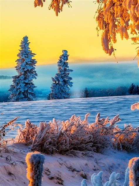 Free Download Beautiful Winter Sunrise 4k Ultra Hd Wallpaper 4k