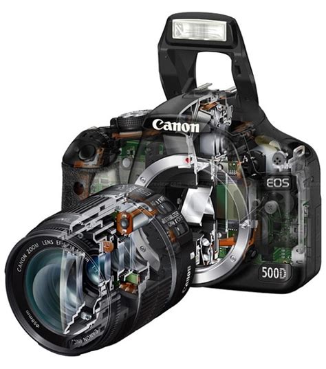 Anatomy Of A Photo Camera And How Does The Camera Work