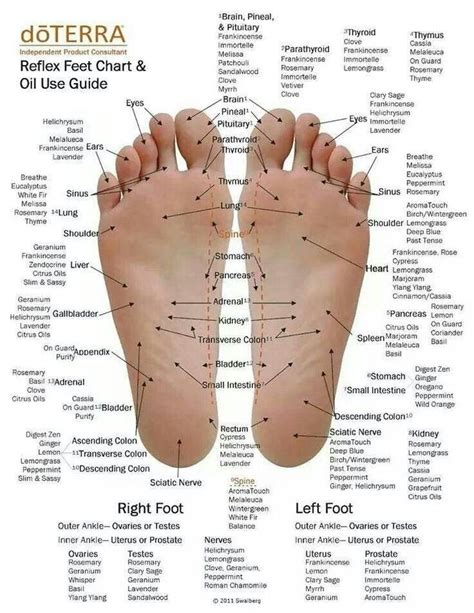Pressure Points On Feet Chart