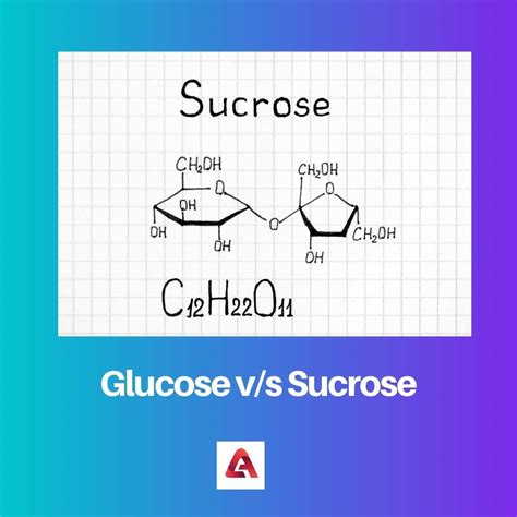 Diferencia Entre Glucosa Y Sacarosa