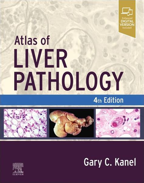 Atlas Of Liver Pathology 4th Edition Gary C Kanel Isbn