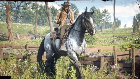 Red Dead Redemption 2 How To Get The Pre Order Bonus Horses Outfits