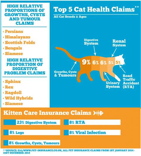 Discover Our Affordable Pet Insurance For Your Cat Or Dog Online