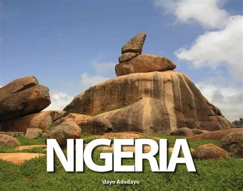 Vegetation Zones In Nigeria And Their Features Updated Legitng