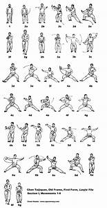 Chen Style Chi With Its 38 Form Martial Arts Sparring Kung Fu