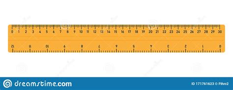 Ruler For School Plastic Ruler Isolated On White Background Scale