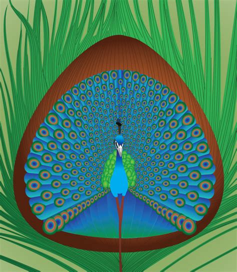 Peacock By Auroraspirit On Deviantart