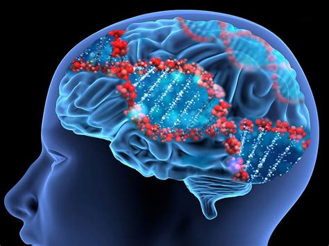 New Alzheimers Gene Identified