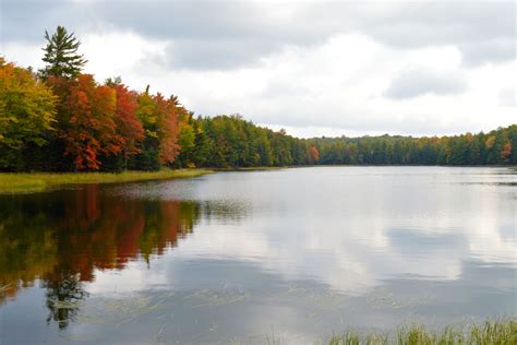 Maybe you would like to learn more about one of these? Fall at Little Donahue Lake in Land O' Lakes, #Wisconsin ...