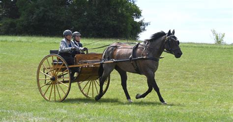 Photos Colonial Carriage And Driving Society 22nd Annual Pleasure
